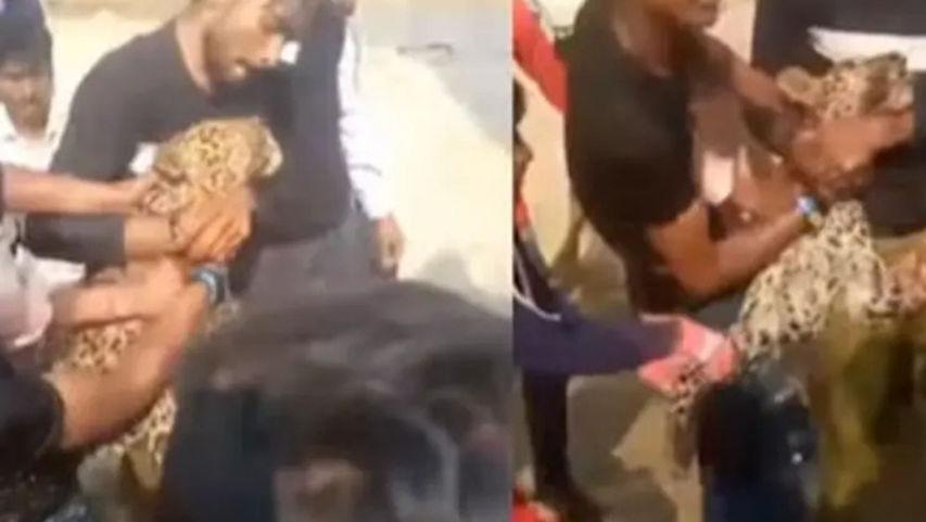 Villagers in UP Capture Leopard as Forest Officials Delay Watch
