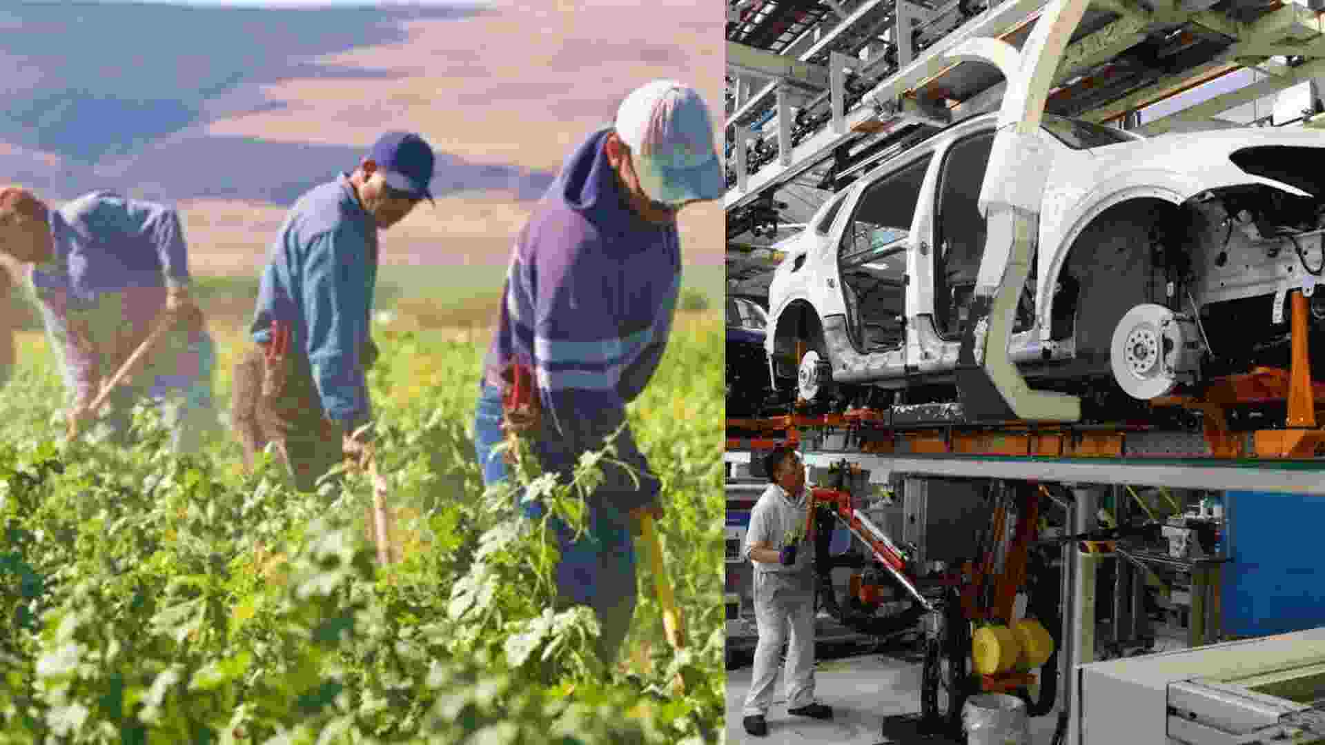Mexican Producers Respond to Trump’s Tariffs, Request Immediate Dialogue