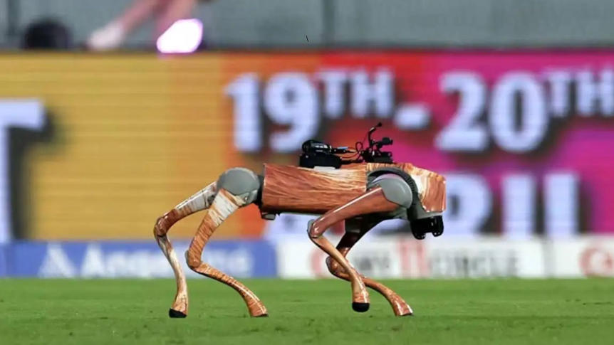 BCCI in Legal Trouble Over IPL Robot Dog Named ‘Champak’