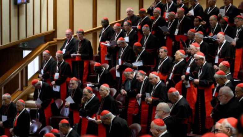 Conclave Explained The Cardinals Behind the Next Pope’s Election