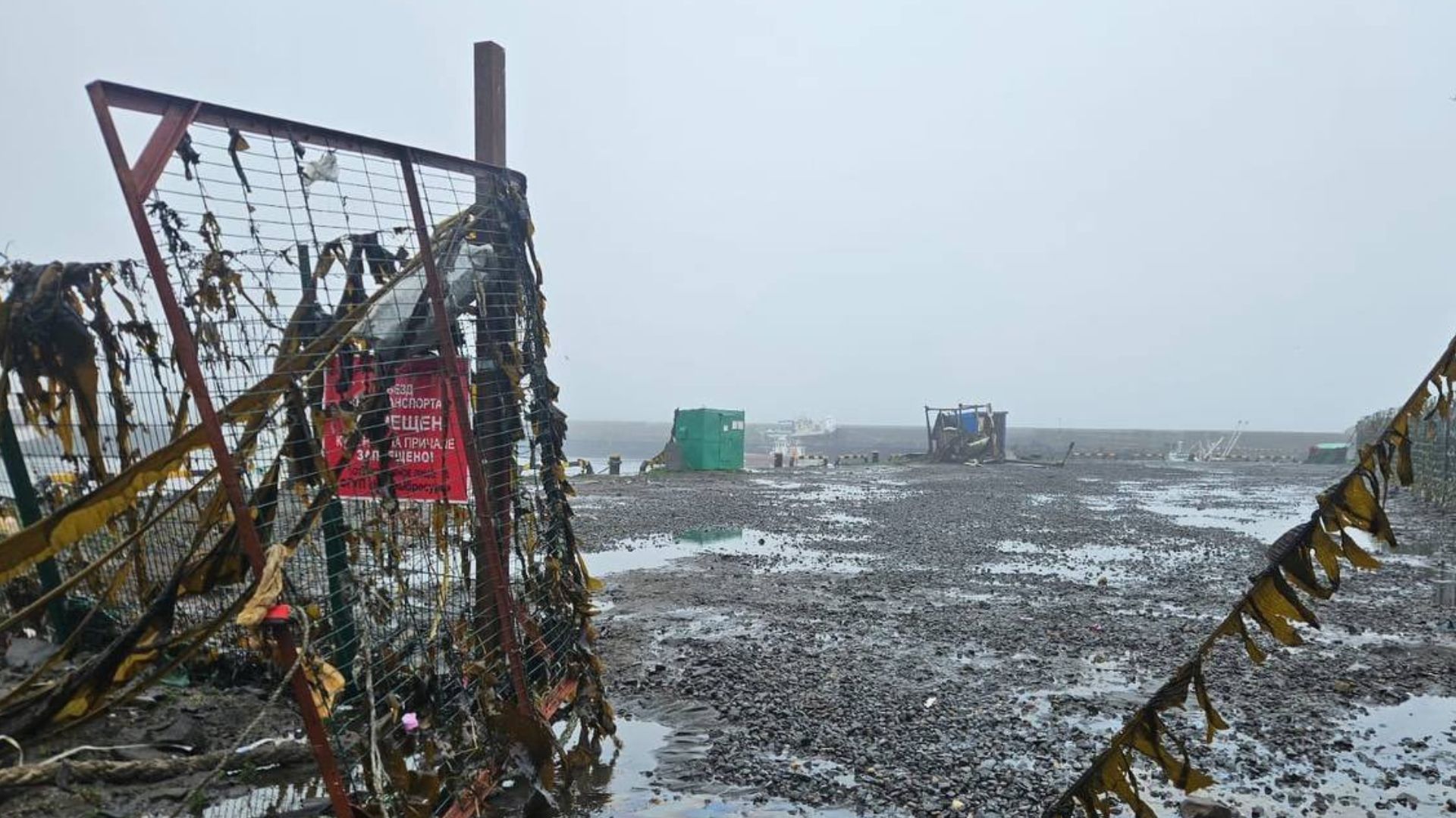 Aftermath Unfolds Tsunami Hits Russian Shores, What’s the Latest