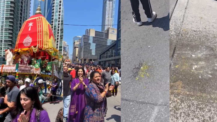 India Condemns Egg Attack on Rath Yatra in Toronto, Urges Canada to Act