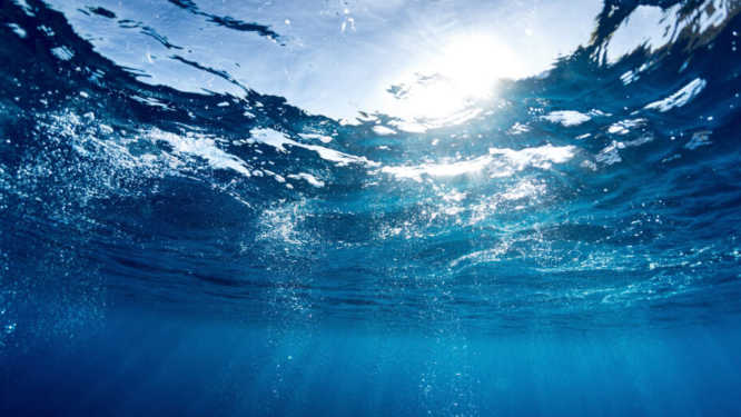 Warming Seas May Cut Vital Ocean Microbe Populations by Half Warming Seas May Cut Vital Ocean Microbe Populations by Half