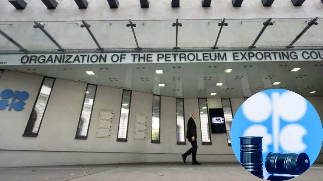 UAE to Exit OPEC From May 1 Amid Rift With Saudi Arabia