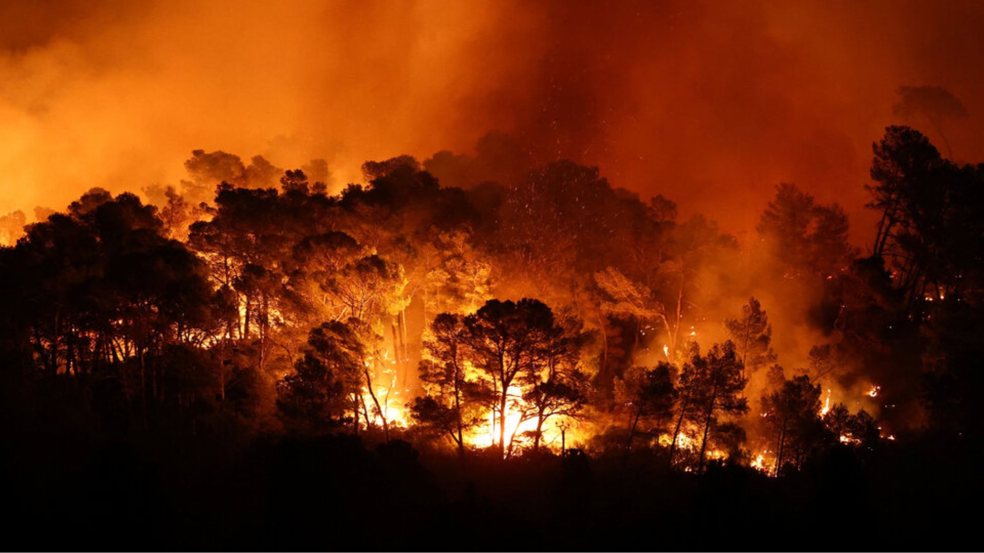 France Wildfires Spread as Extreme Heat Fuels Fire Emergency France Wildfires Spread as Extreme Heat Fuels Fire Emergency