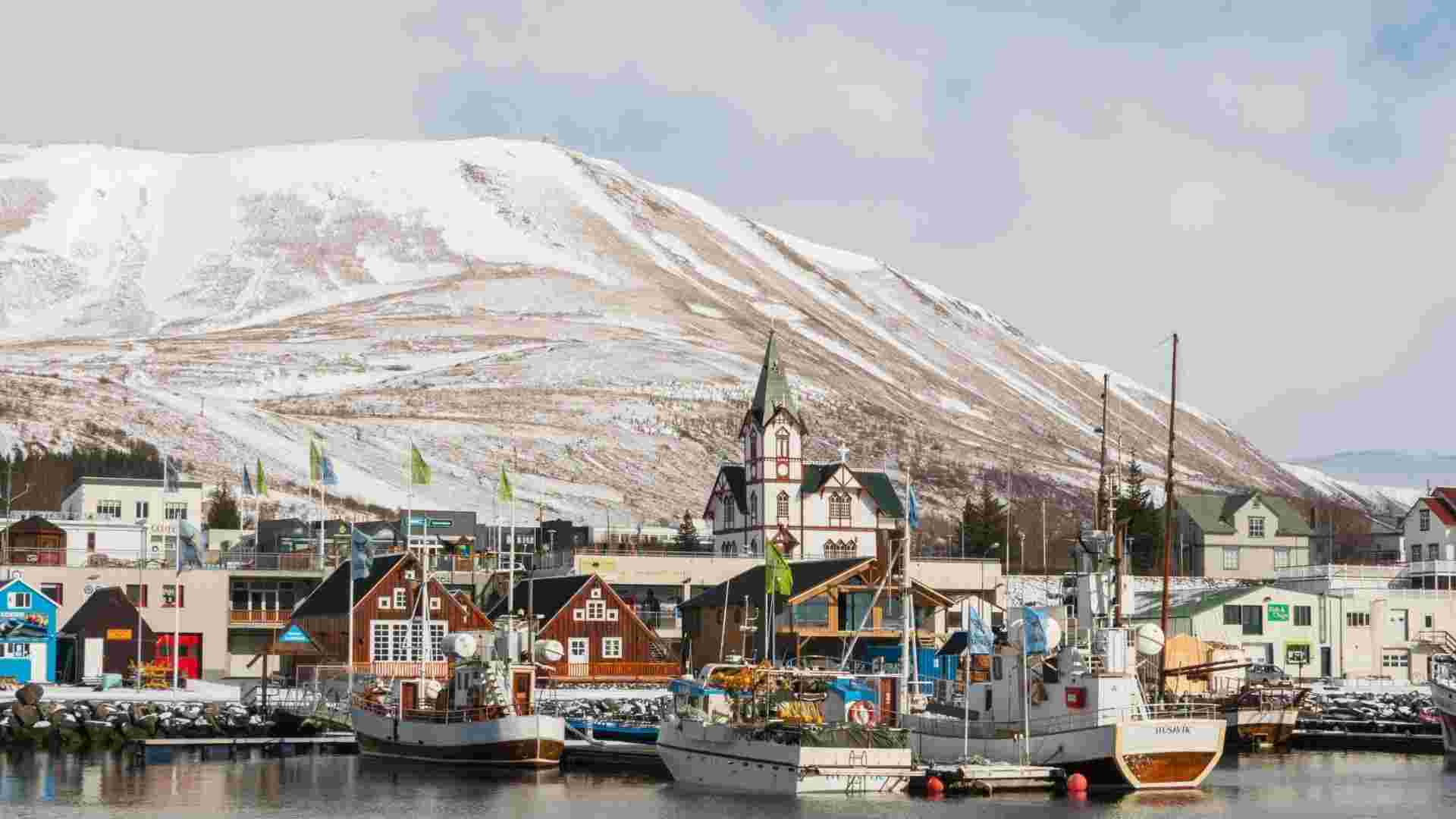 Iceland Says No to EU Membership Debate Put on Hold Until 2028